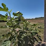 Mill House And بيت ضيافة ليوتومير