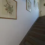 بيت ضيافة Mill House And