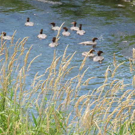 Mill House And בית הארחה ליוטומר