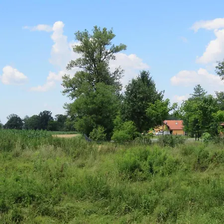 בית הארחה Mill House And