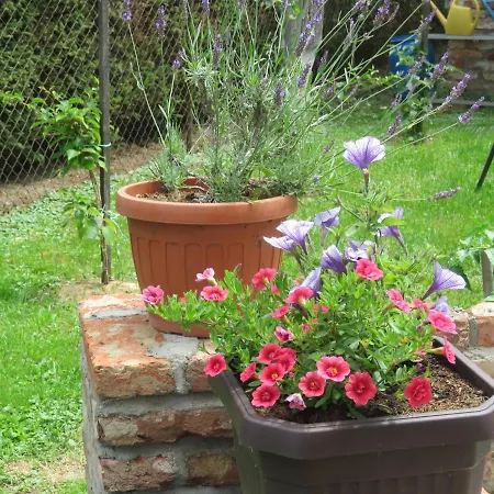 בית הארחה Mill House And *