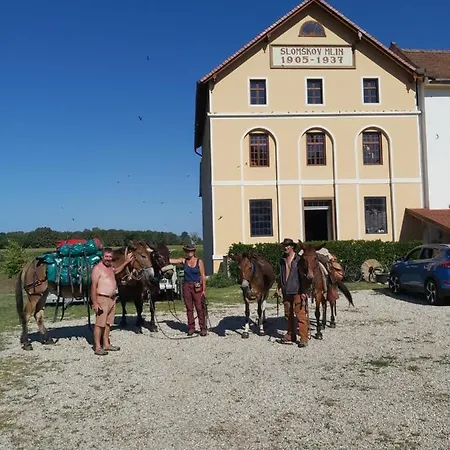 Mill House And