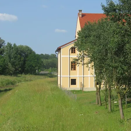 Mill House And Ljutomer