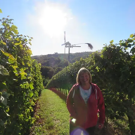 בית הארחה Mill House And