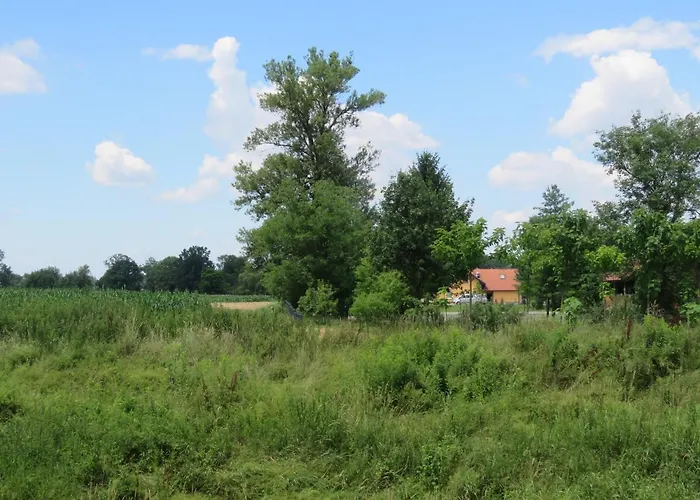 بيت ضيافة Mill House And