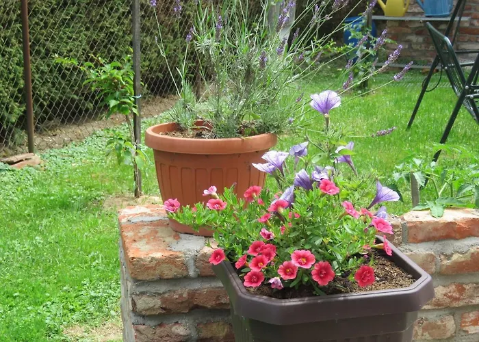 بيت ضيافة Mill House And *