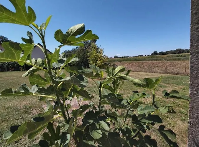 Mill House And بيت ضيافة ليوتومير