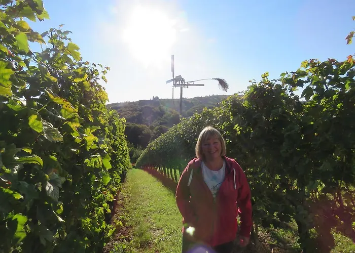 بيت ضيافة Mill House And